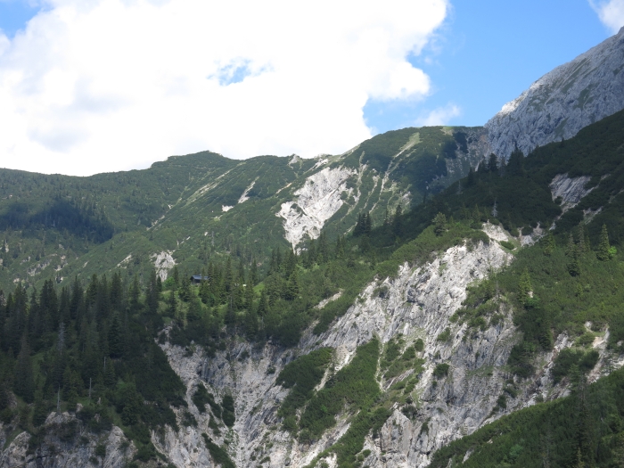 Steinkarkopf