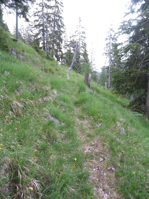 Untergrasberg