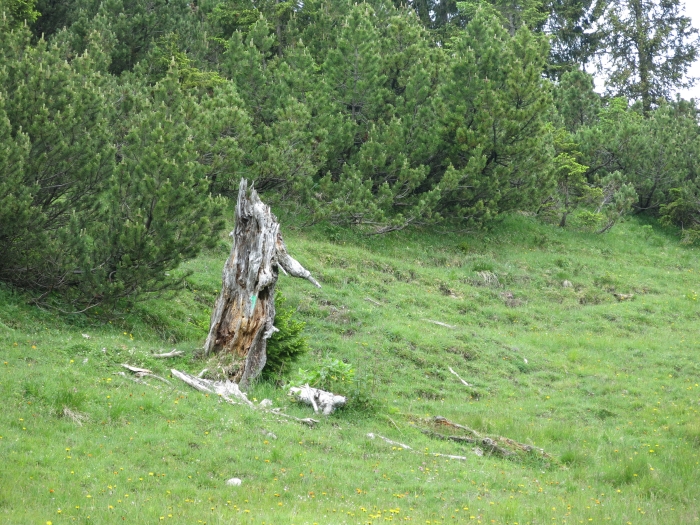 Untergrasberg