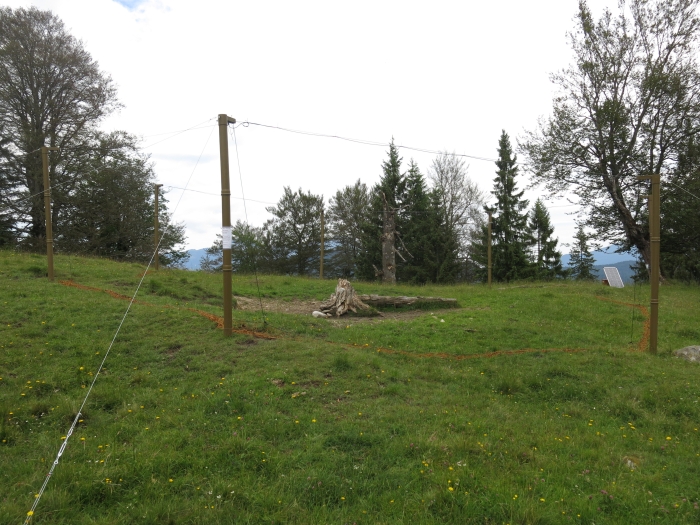 Untergrasberg