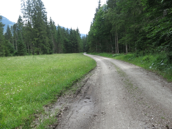 Untergrasberg