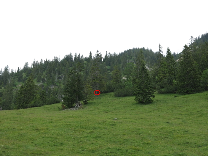 Untergrasberg