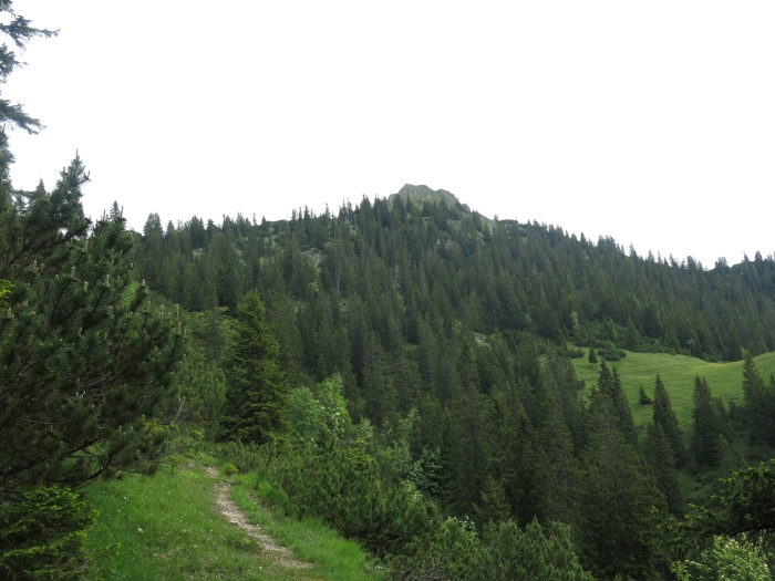 Untergrasberg