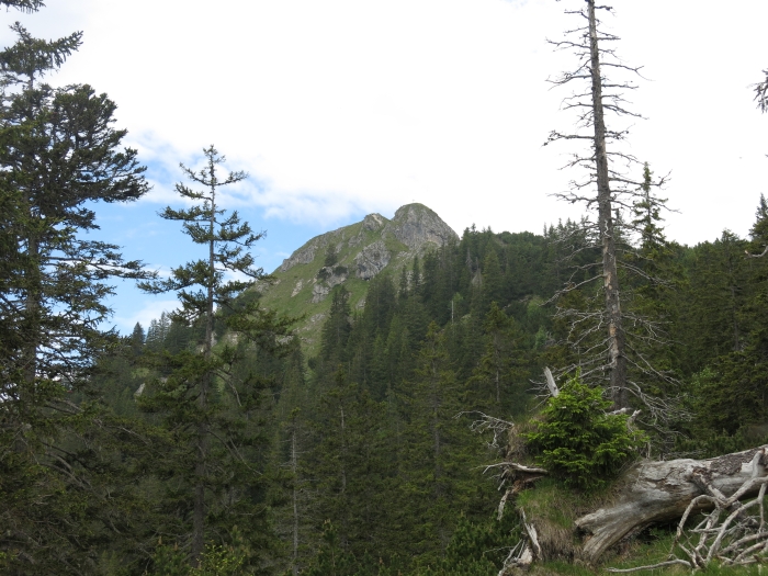 Untergrasberg