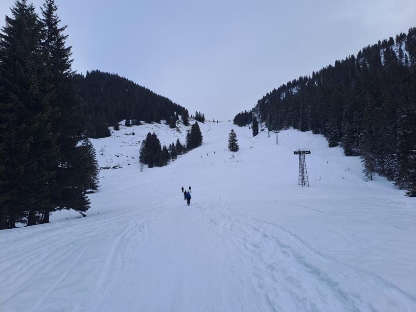 Taubenstein