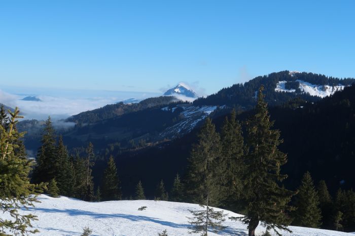 Riedberger Horn