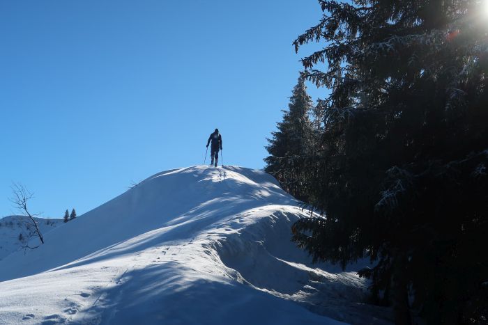 Riedberger Horn