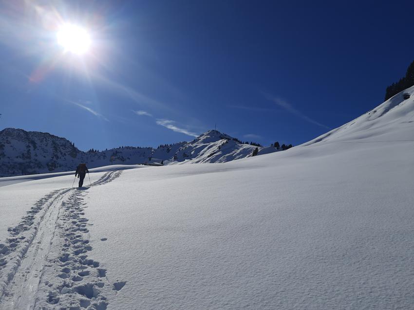 Hahnenkamm