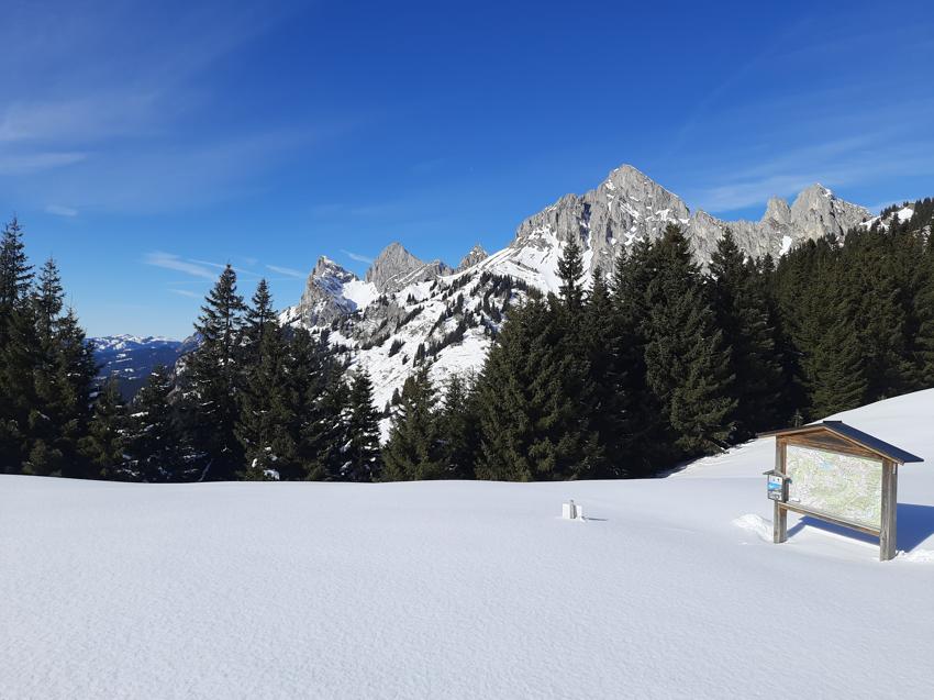 Hahnenkamm