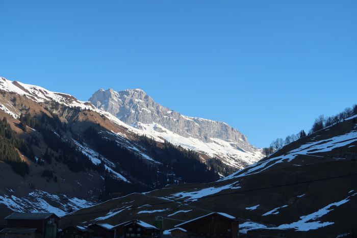 Riedkopf