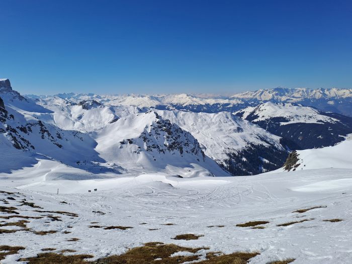 Riedkopf
