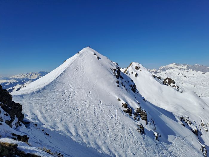 Riedkopf