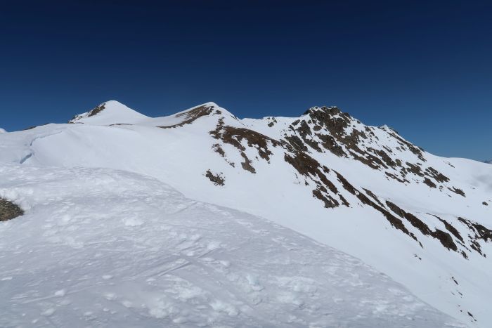 Riedkopf