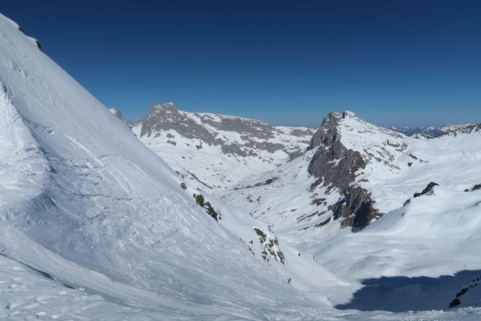 Riedkopf