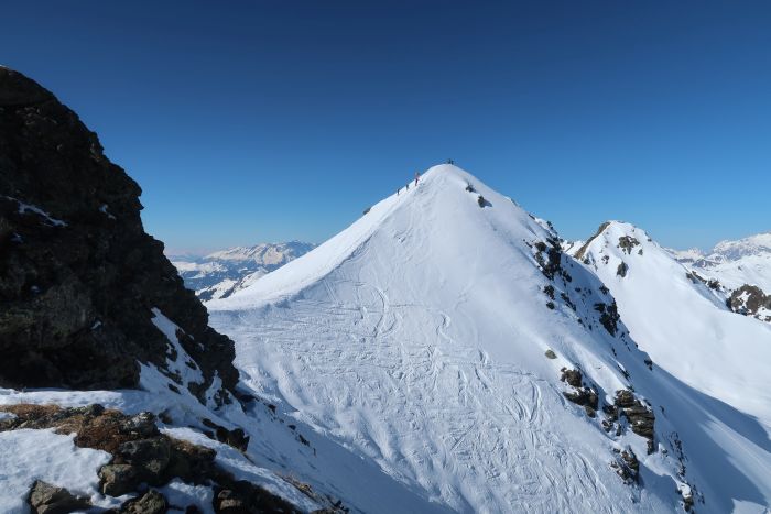 Riedkopf
