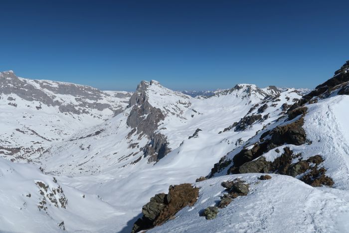 Riedkopf