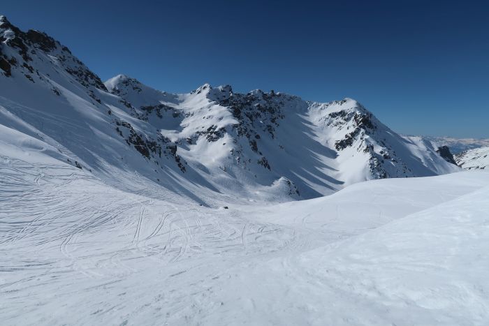 Riedkopf