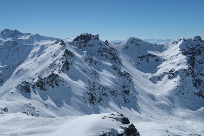 Riedkopf