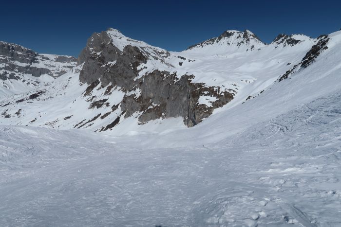 Riedkopf