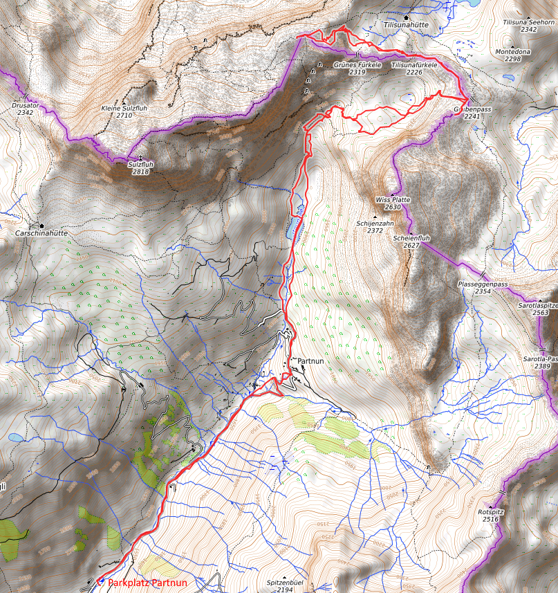 Openstreetmap: Wiss Platte