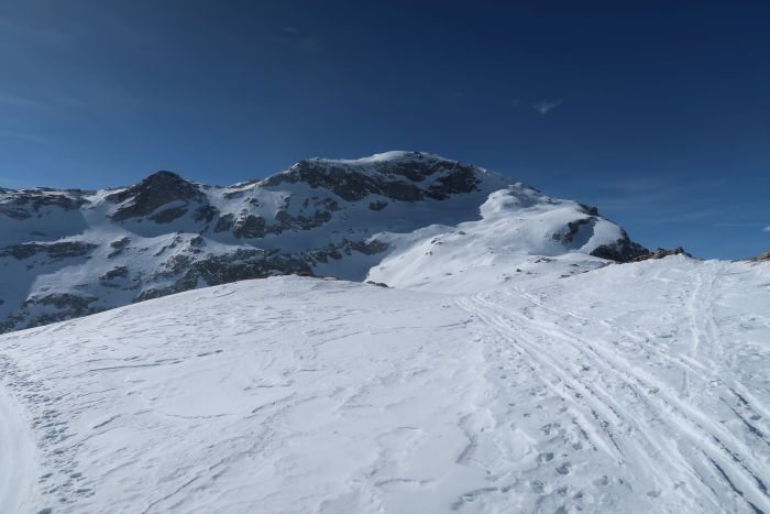 Wiss Platte