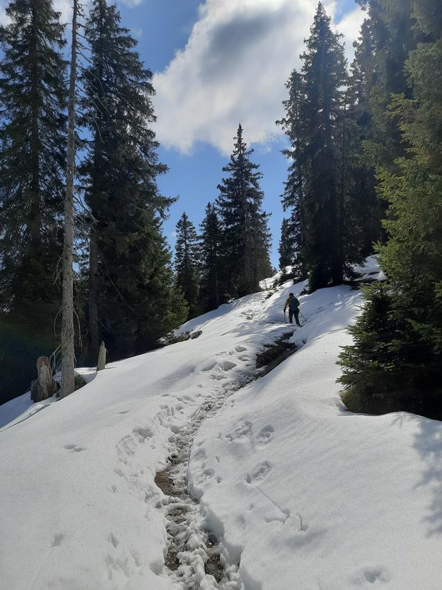 Schönjöchl - Plansee