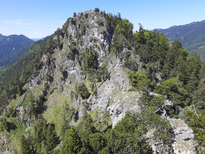 Kienberg