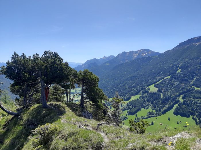 Kienberg