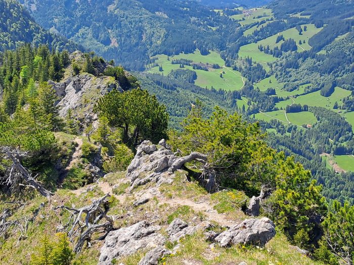 Kienberg