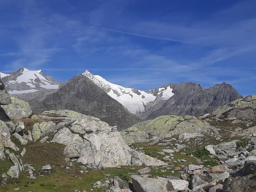 Bettmerhorn - Eggishorn