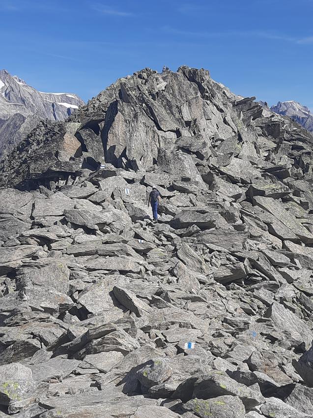 Bettmerhorn - Eggishorn