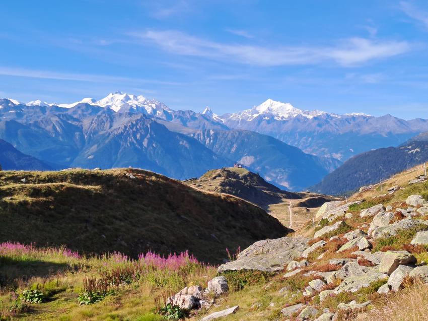 Bettmerhorn - Eggishorn