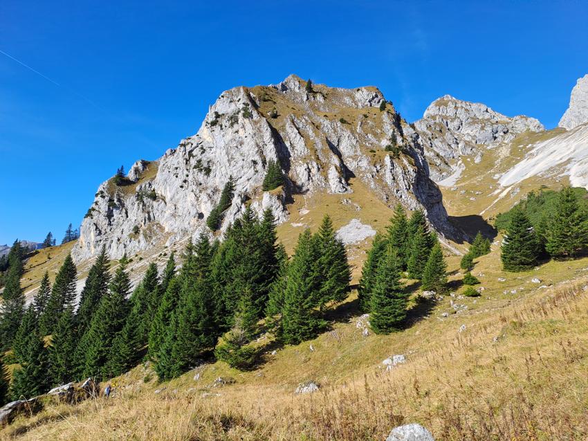 Kellenspitze