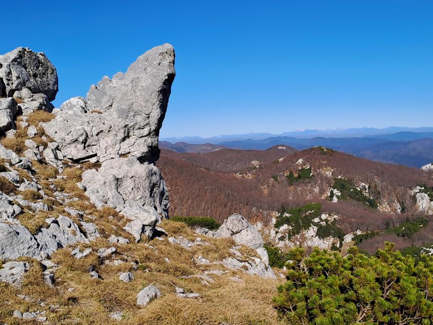 Snježnik
