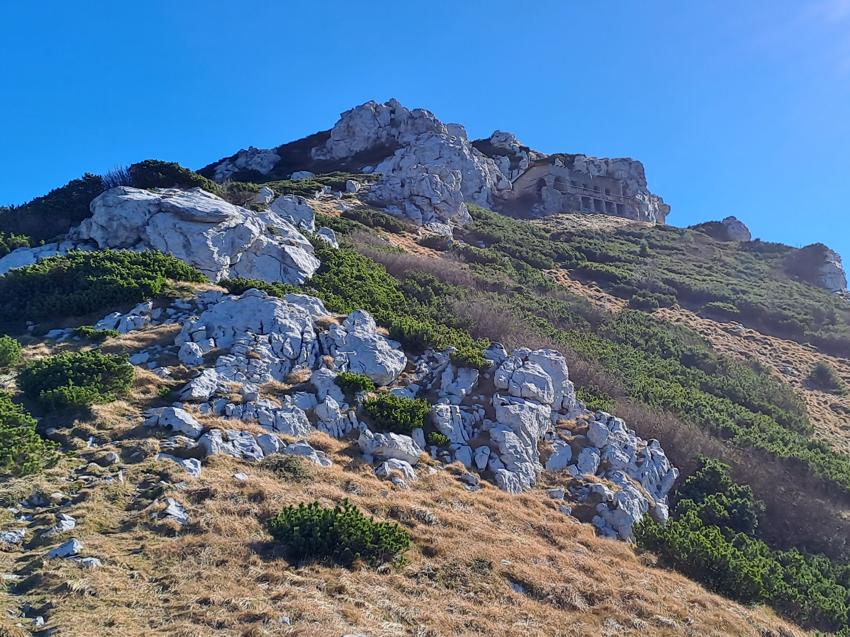 Snježnik
