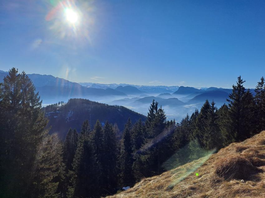 Kranzhorn