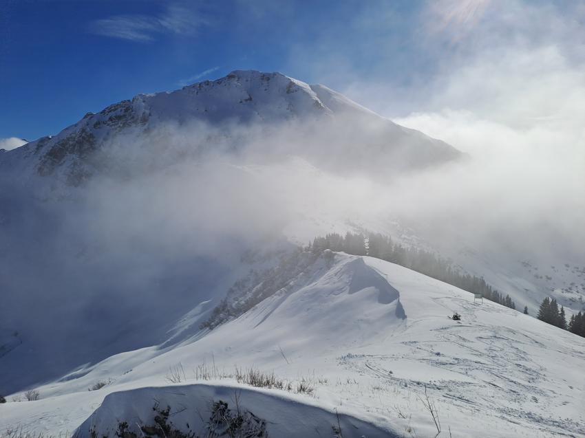 Kuhgehrenspitze