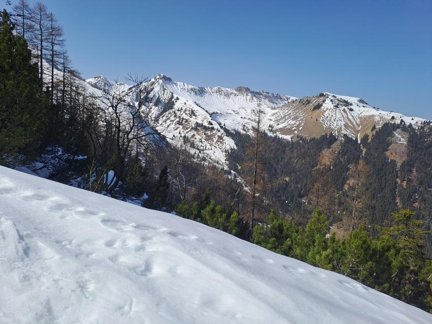 Christlumkopf