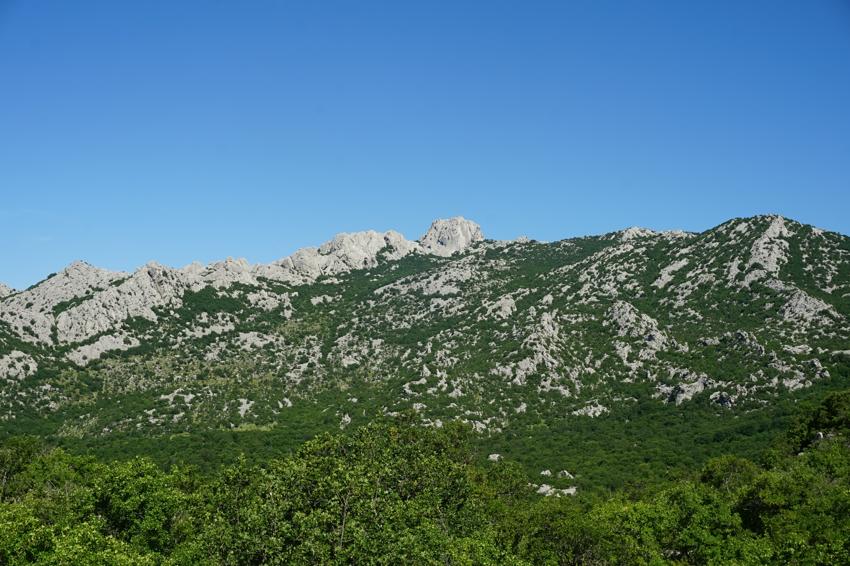 Bojin kuk