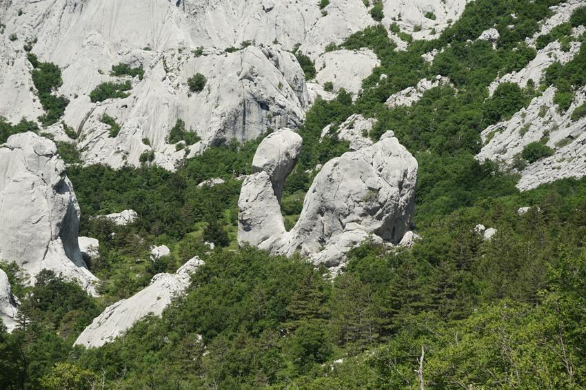 Bojin kuk