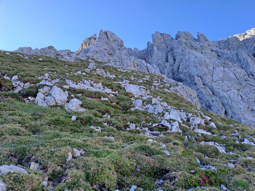 Ackerlspitze