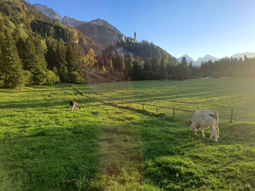 Tegelberge - Gelbe-Wand-Steig