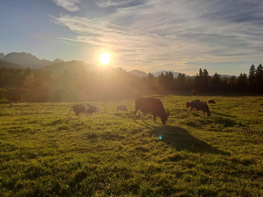 Tegelberge - Gelbe-Wand-Steig