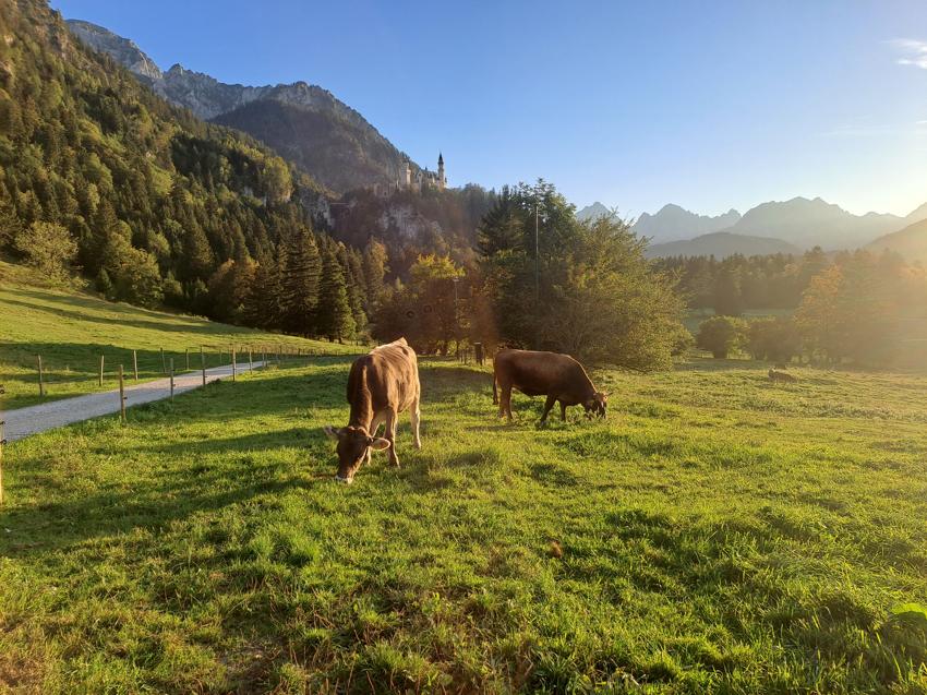 Tegelberge - Gelbe-Wand-Steig